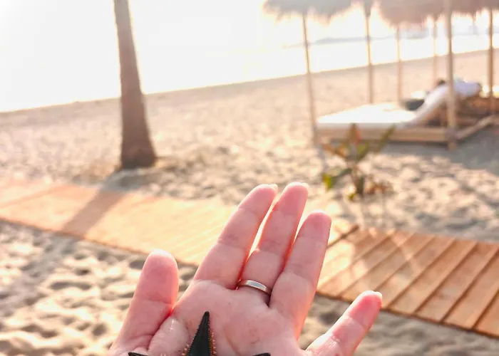 Sun&sea By Sasha *
